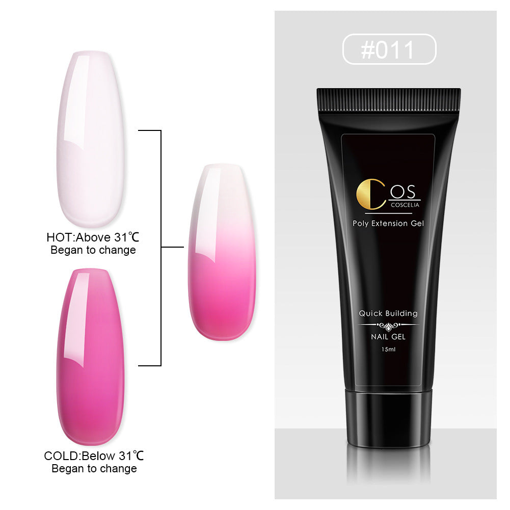 Crystal Ombre Poly Gel Nail Colors