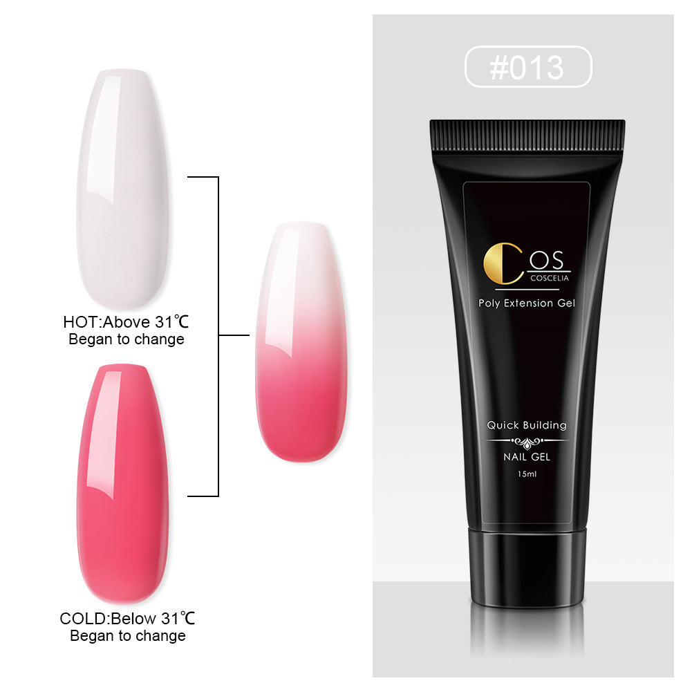 Crystal Ombre Poly Gel Nail Colors