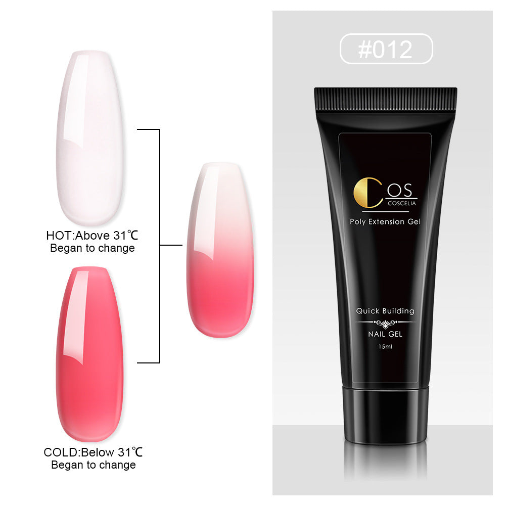 Crystal Ombre Poly Gel Nail Colors